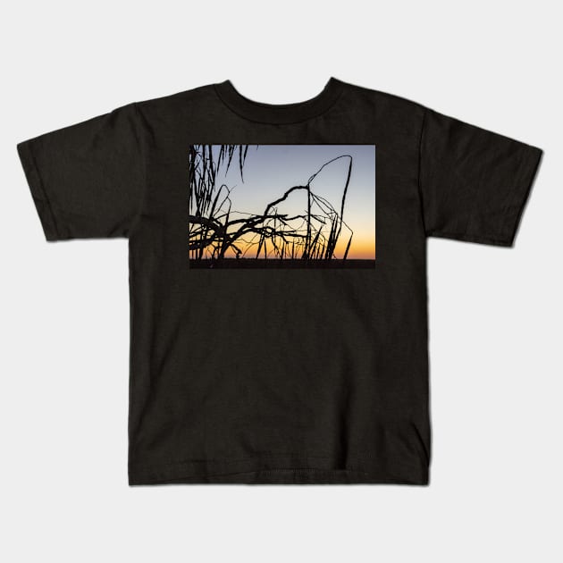 Tree silhouette. Kids T-Shirt by sma1050